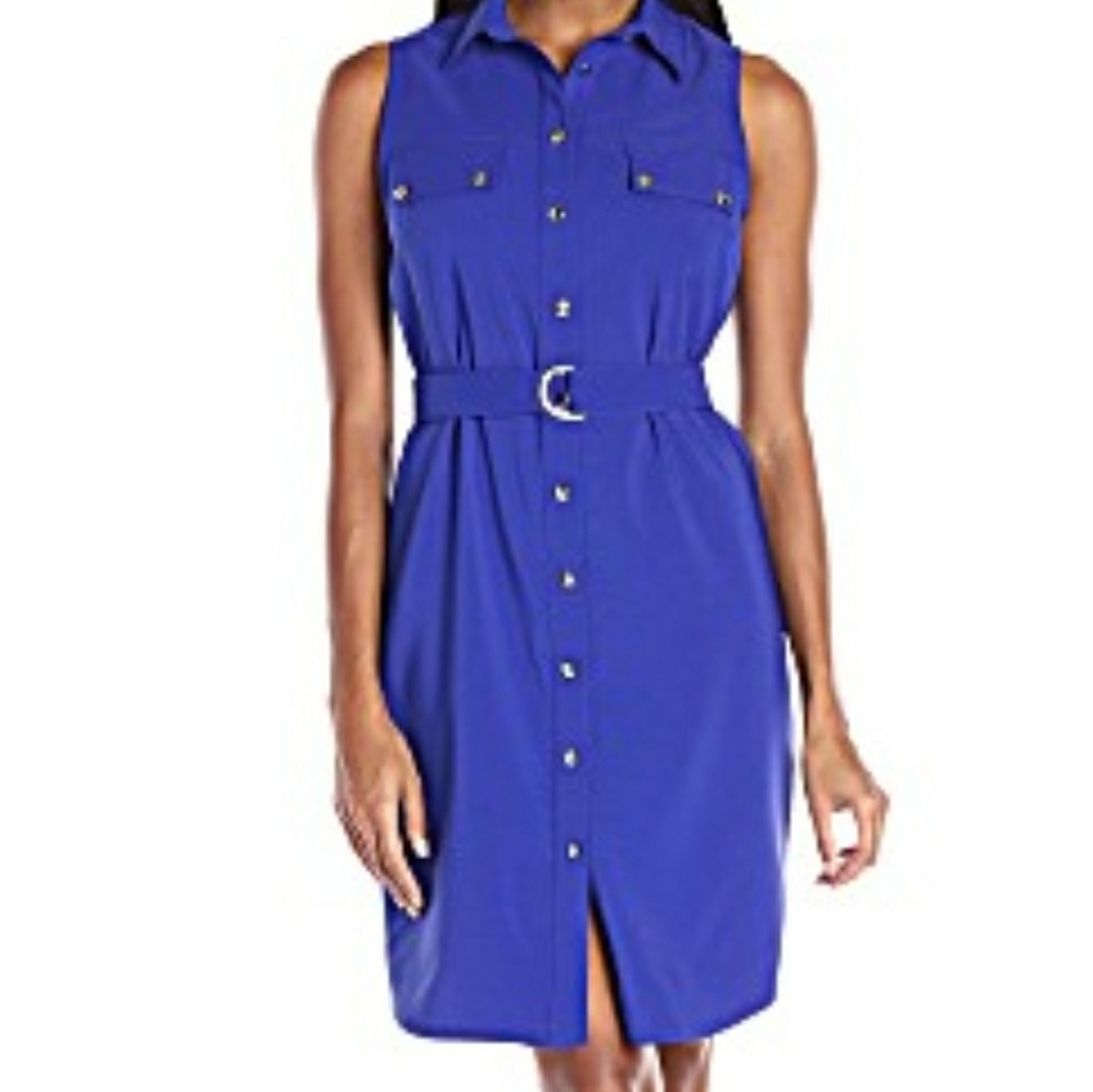 Ronnie Nicole button front shirt dress, size 12